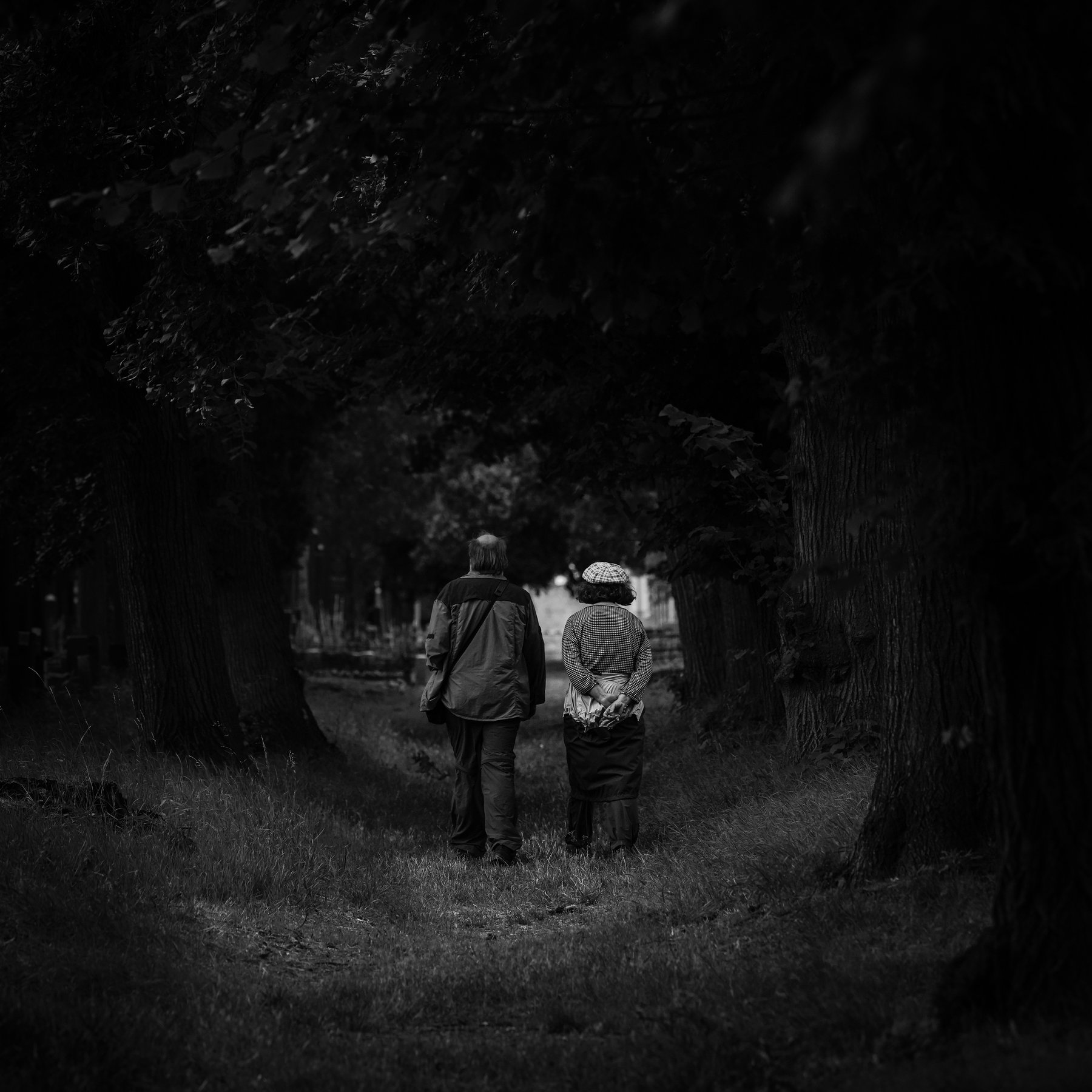 Ein älteres Paar geht Hand in Hand durch eine Baumallee am Zentralfriedhof