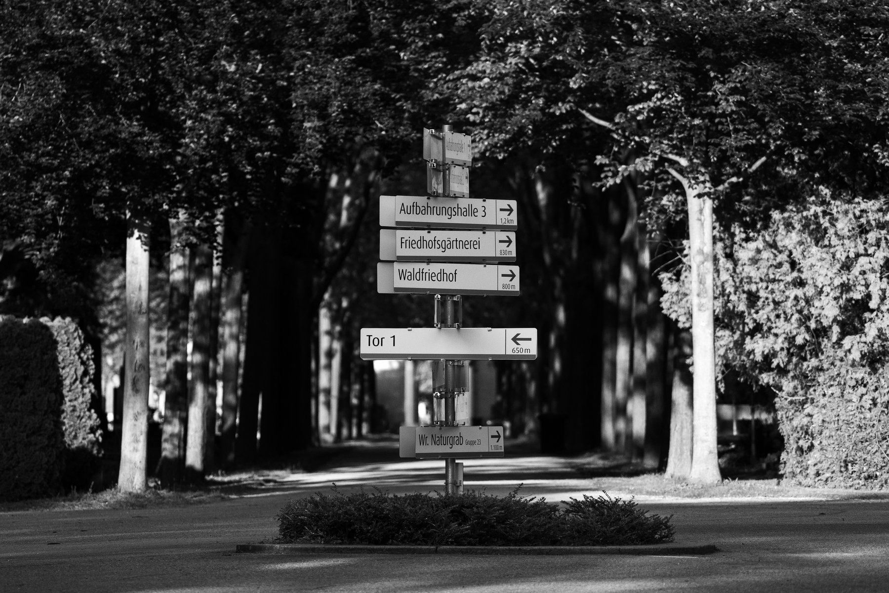 Wegweiser am Zentralfriedhof